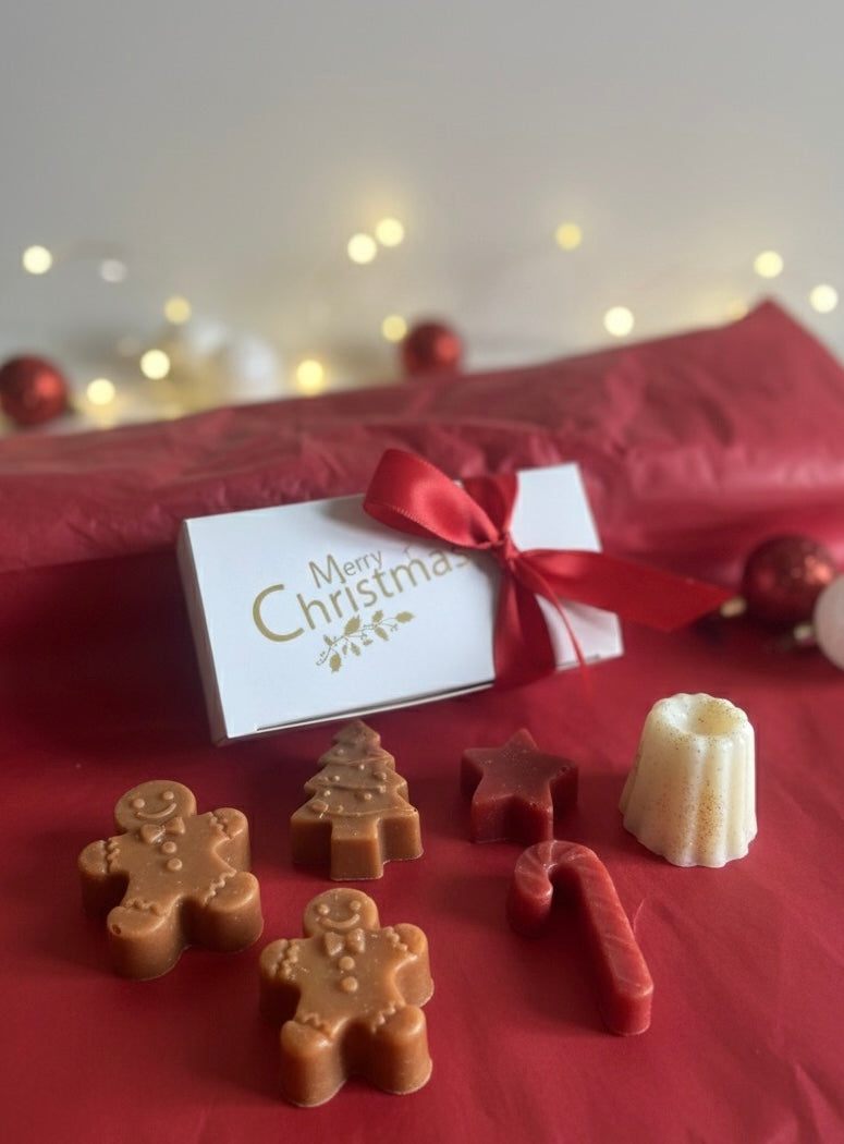 Coffrets 9 fondants de Noël